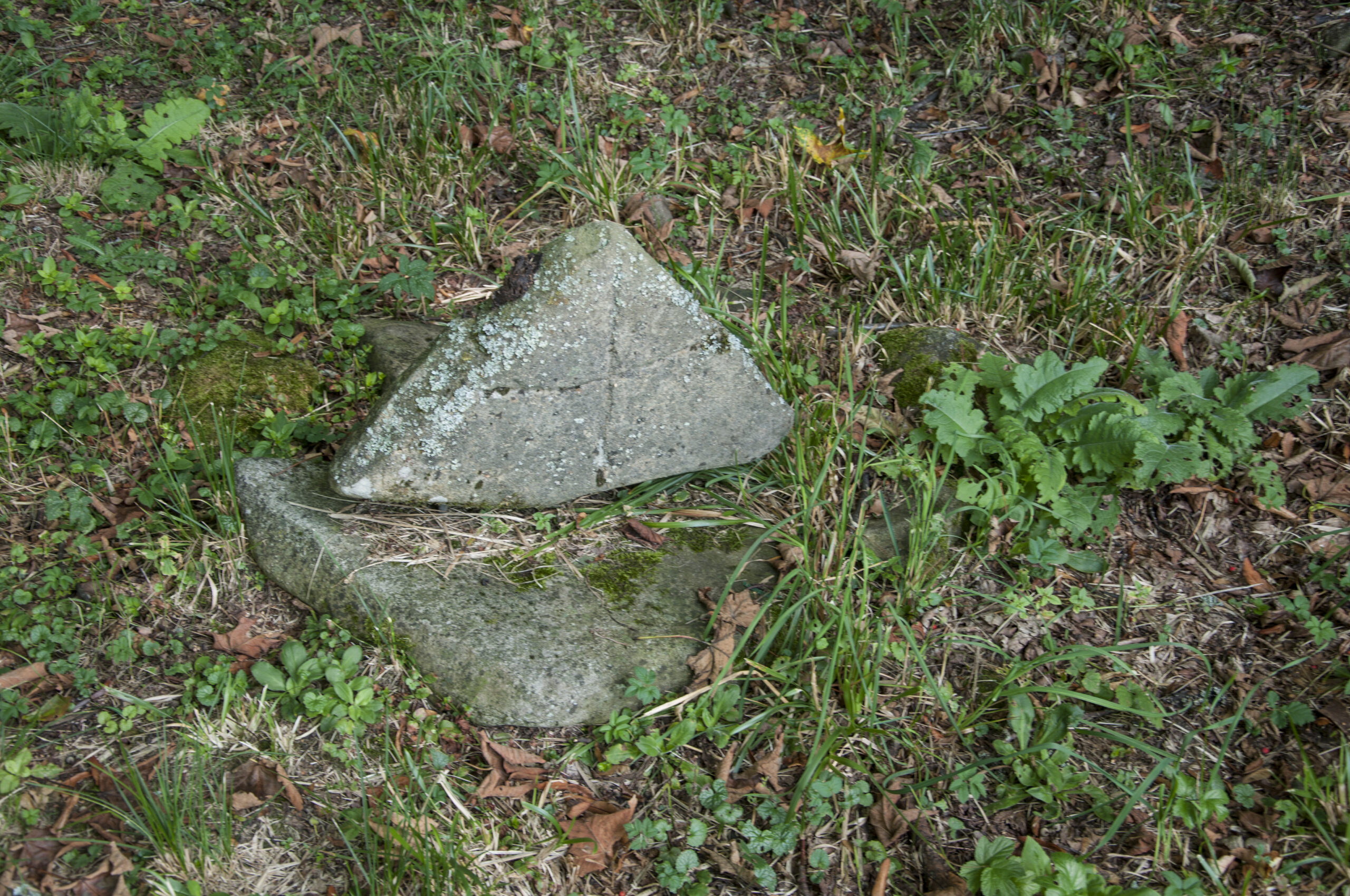 Kamień nagrobny cerkwisko Wołosate